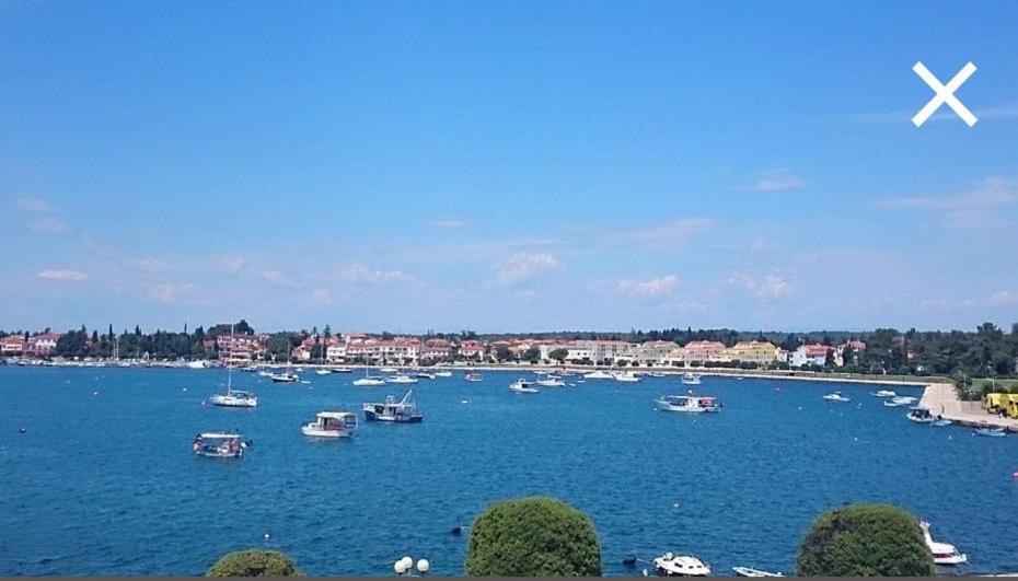 Umagic * Umag